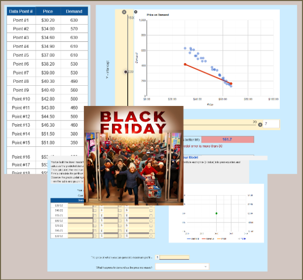 Black Friday Demand Curve & Profit Maximization